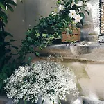 Il Cortile Di Elisa & Our Flats Отель типа 