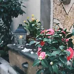 Il Cortile Di Elisa & Our Flats 4*